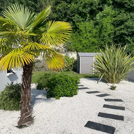 L'olivier De Munet * Distré