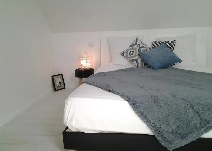 L'olivier De Munet * Distré