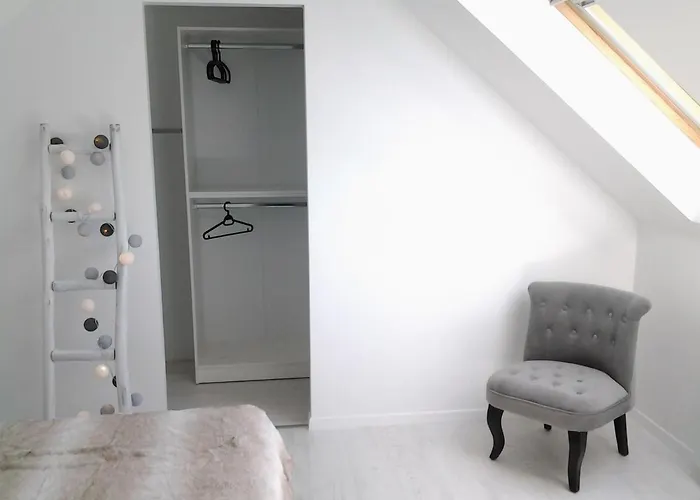 L'olivier De Munet *