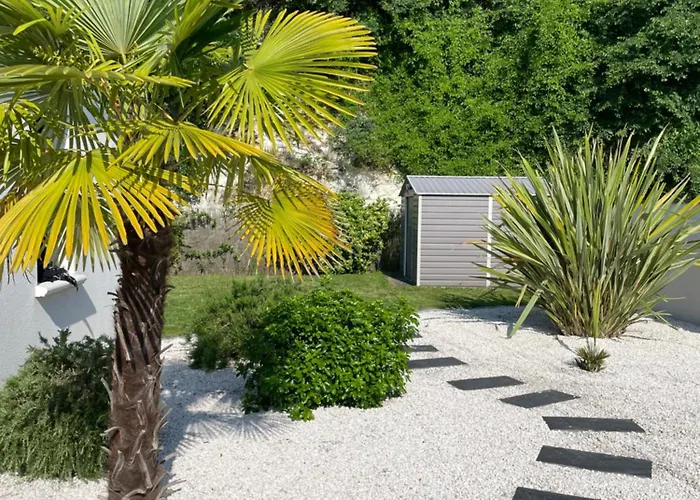 L'olivier De Munet * Distré